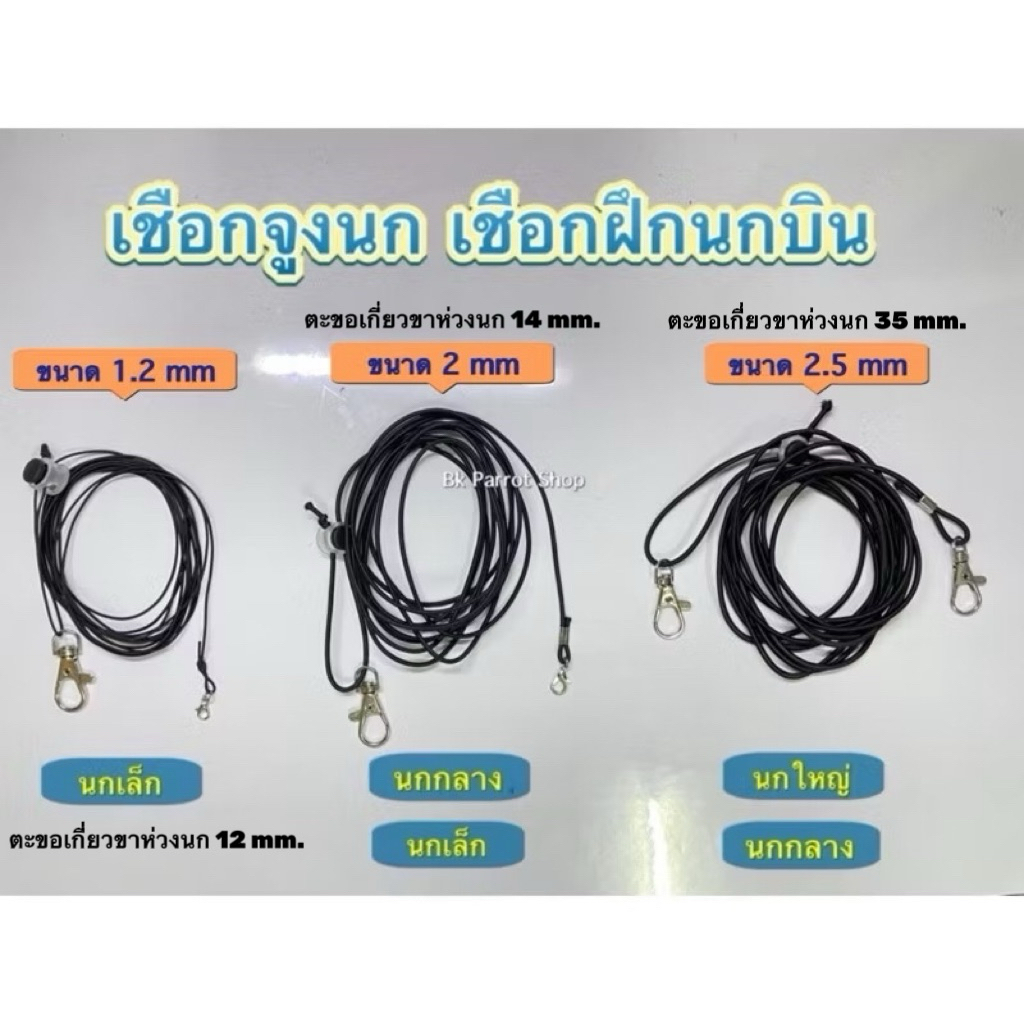 พร้อมส่ง 🔥 [สินค้าไม่รวมห่วงเปิด]สายจูงนกแบบยืดหยุ่นได้ สายคล้องขานกแก้ว นกแก้ว ป้องกันนกหลุด 1-20 เมตร