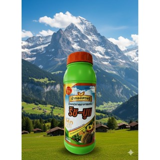 ริช-บูม แมกนีเซียม+ซิงค์(สังกะสี)สูตรน้ำเข้มข้นใช้น้อยพืชนำไ…