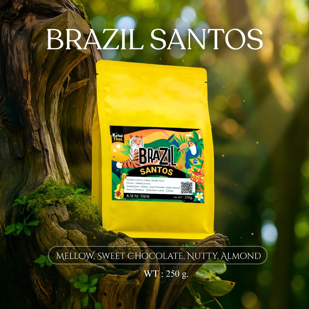 [ส่งฟรี] เมล็ดกาเเฟคั่ว Brazil Santos by KafaeThai  ขนาด 250 กรัม