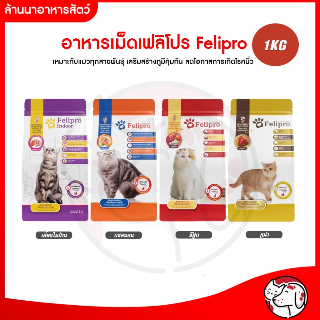 [1KG] Felipro အစားအစာ (ကြောင်အတွက်) နီဝ်/ကျောက်ကပ်ပတ်သတ်မှု ကာကွယ် + အမွှေးဘำรุင့္ (ကုမ္ပဏီထုတ် လော့ဇစ်အိတ်) 1 ကီလိုဂရမ်