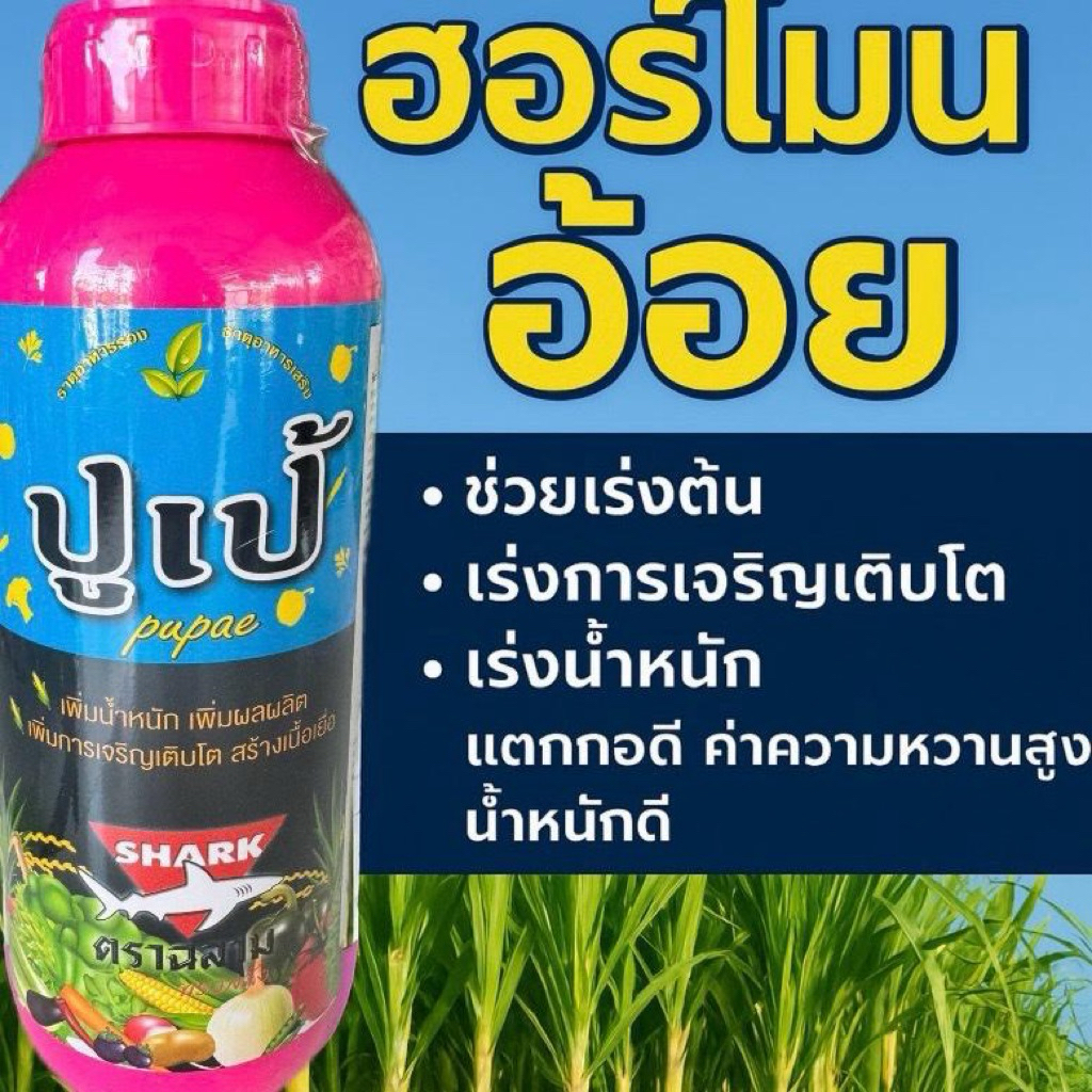 ฮอร์โมนอ้อย ตราฉลามขนาด1ลิตร เร่งต้นเร่งน้ำหนัก