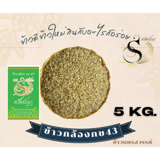 ข้าวกล้องกข.43กระสอบแพค5กิโลกรัม ตราทรัพย์ธนา