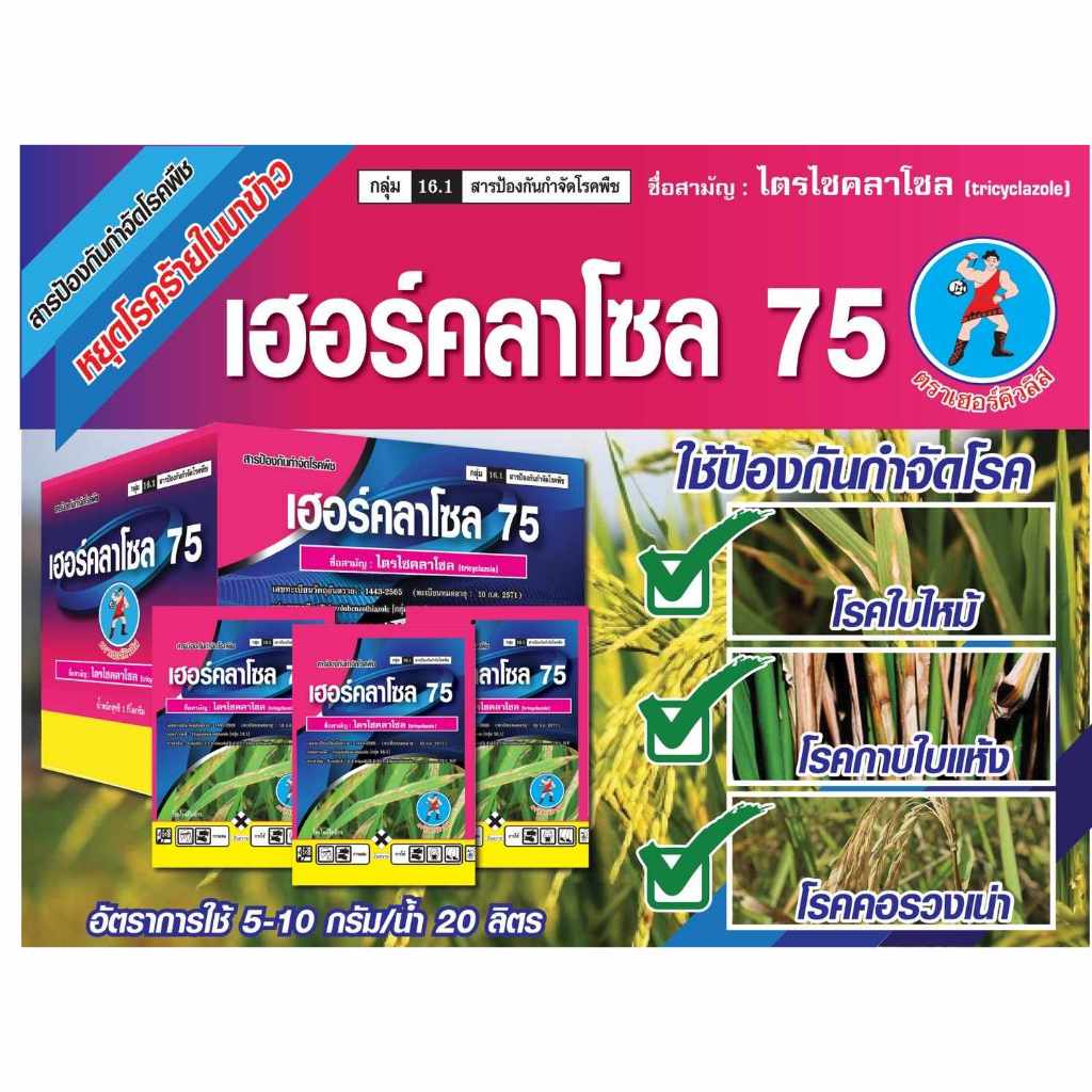 เฮอร์คลาโซล75 ขนาด 1 กิโล ไตรไซคลาโซล โรคใบไหม้ โรคใบจุด สารป้องกันและกำจัดโรคพืช เชื้อรา  ใบไหม้  บีม75 ไตรโคลเดอร์มา ราคา ถูกที่สุด ดีลบีเคเค แกลเลอรีภาพที่ 3