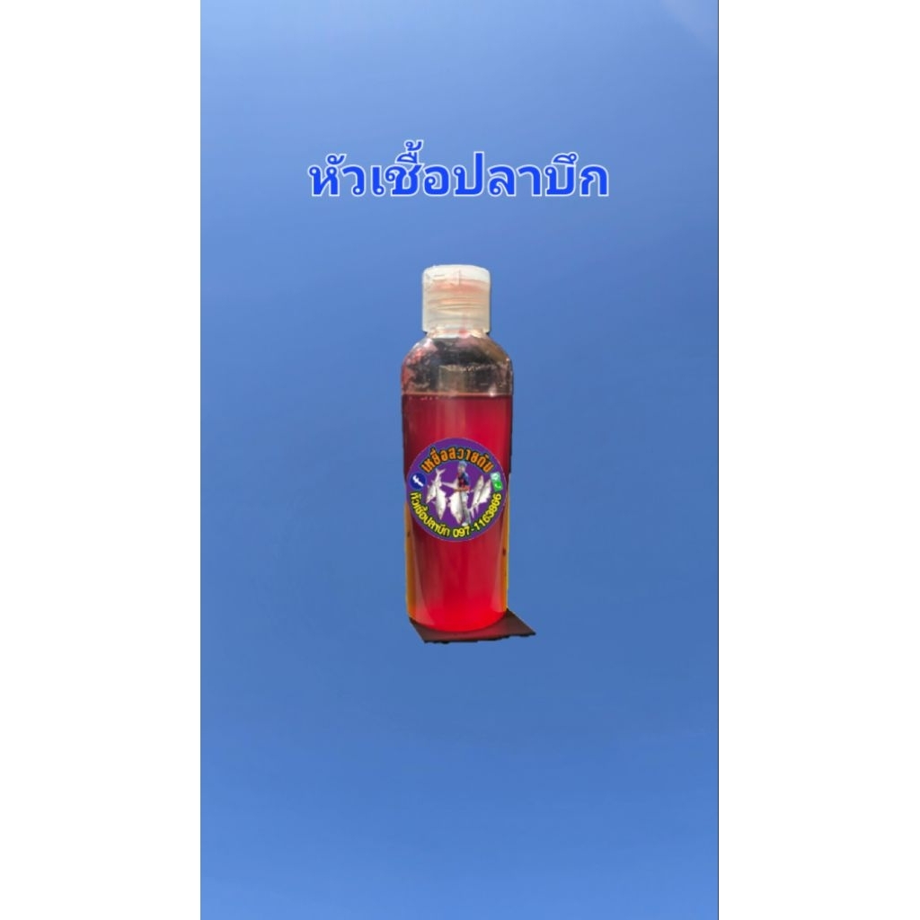 หัวเชื้อปลาบึก​ ปลาบึก