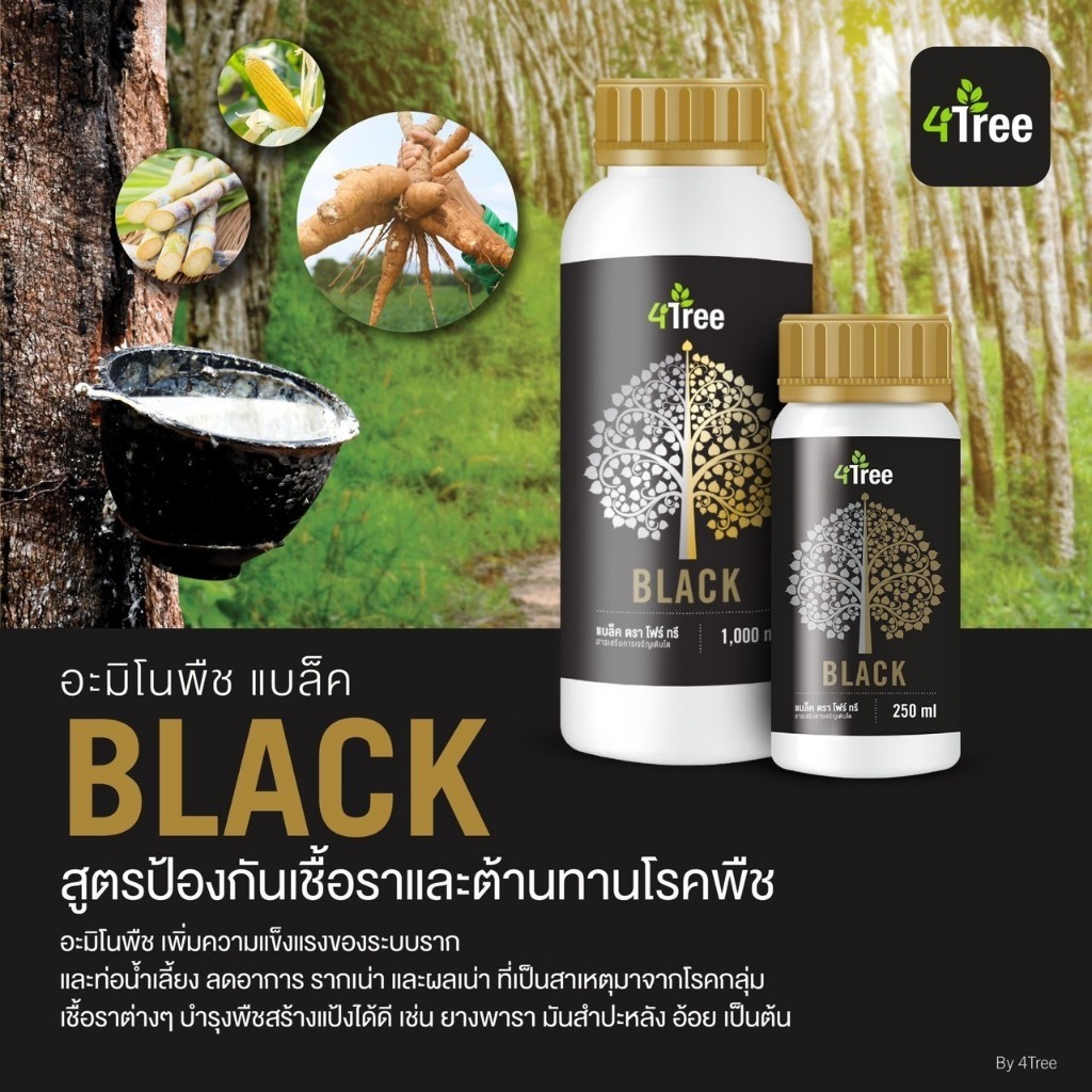 ของแท้ มีใบรับประกัน ไบโอแบค4tree (Bio Black 4Tree)