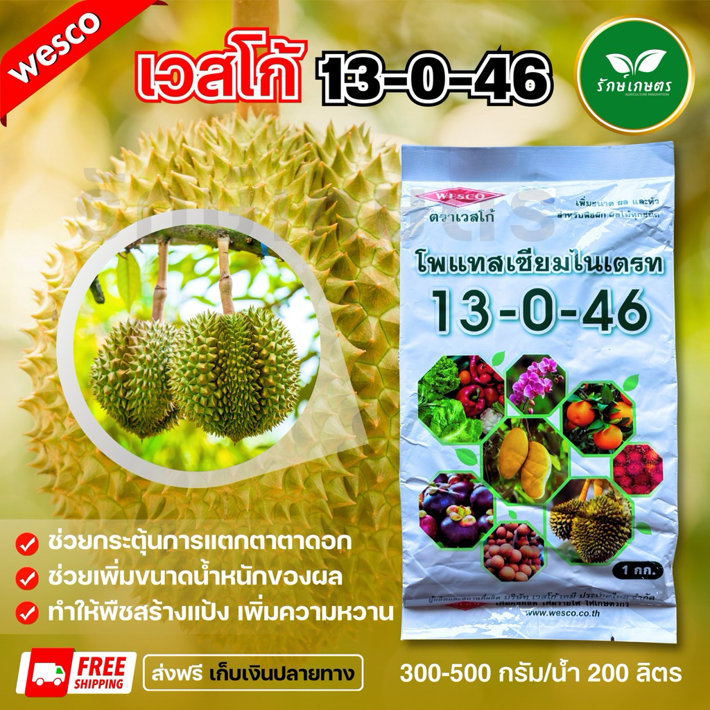 ปุ๋ยเกร็ด เวสโก้ 13-0-46 ลมเบ่ง เปิดตาดอก ขนาด 1 กิโลกรัม