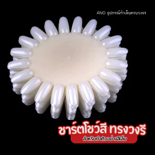 ชาร์ตโชว์สี ทรงว​ง​รี : สำหรับทำตัวอย่างสี ฝึกทาสี ฝึกเพ้นท์เล็บ