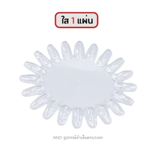 ชาร์ตโชว์สี ทรงว​ง​รี : สำหรับทำตัวอย่างสี ฝึกทาสี ฝึกเพ้นท์เล็บ