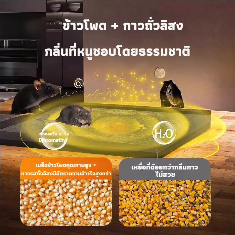 พร้อมส่ง กาวดักหนู แน่นๆ เหนียวหนึบพิเศษ กาวดักหนู ยกลัง ติดทน ปลอดสารพิษ เพิ่มกาวน้ำ ใช้ได้หลายที่ กำจัดหนูในบ้าน - รูปที่ 6