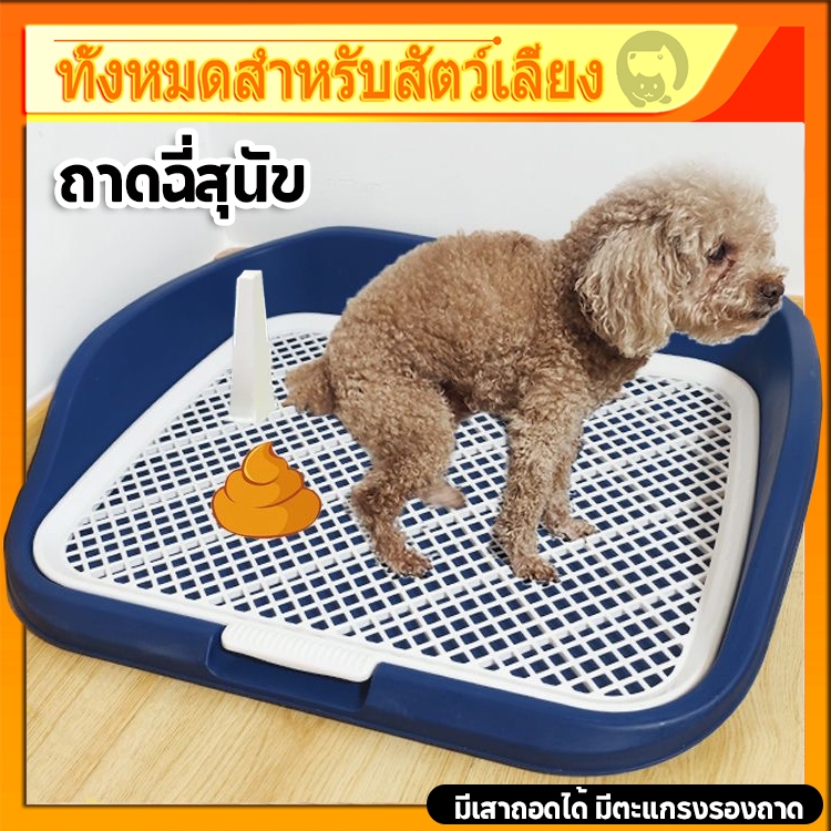 ห้องน้ำสุนัข ขอบสี่เหลี่ยม รุ่นแข็งแรงพิเศษ มีตะแกรงรองถาด พร้อมเสาสามารถถอดออกได้ ถาดรองฉี่สุนัข ถาดฉี่สุนัข