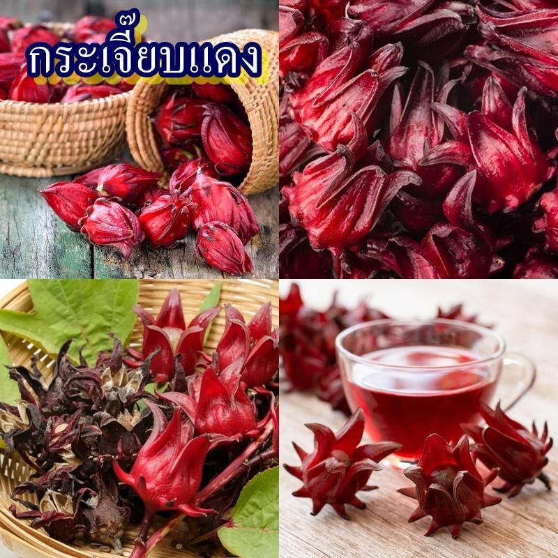 120+ เมล็ด เมล็ดกระเจี๊ยบแดง (อัตรางอก 85% ปลูกง่าย เมล็ดงอกง่าย เป็นสมุนไพรไม้พุ่ม ผลสีแดง ออกฝักดก ผลมีรสชาติเปรี้ยว)