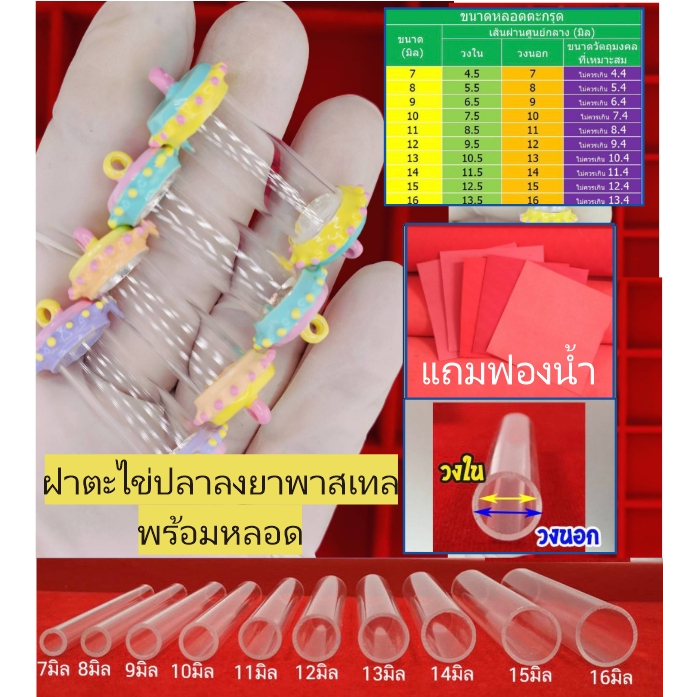 ฝาตะกรุดไข่ปลาลงบาสีพาสเทล พร้อมหลอดยาว 3ซม หรือระบุความยาวที่หมายเหตุ