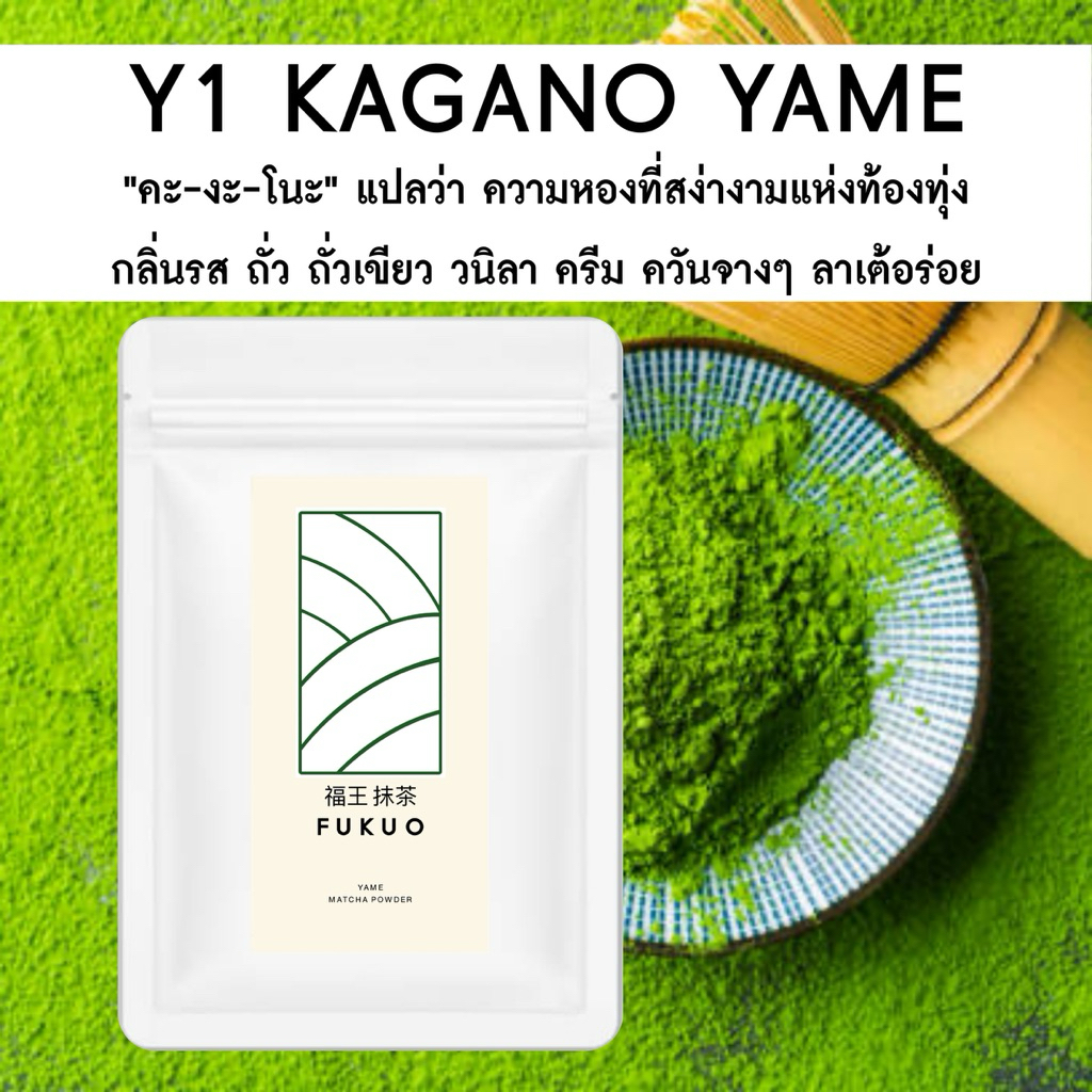 มัทฉะ (Fukuo) Y1 KAGANO YAME Matcha มัทฉะ โทนถั่ว จากญี่ปุ่น 🇯🇵 ของแท้
