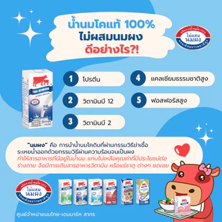 Mall นมไทยเดนมาร์ค นมโคแท้ UHT รสจืด นมวัวแท้ 100% ยกลัง นมกล่อง นมยูเอชที