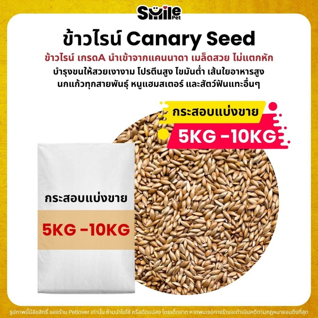 (5KG/10KG) ข้าวไรย์ Canada Canary Seed เกรด A อาหารนกแก้ว และสัตว์พันแทะ ข้าวไรน์ บำรุงขนสวย มันเงา