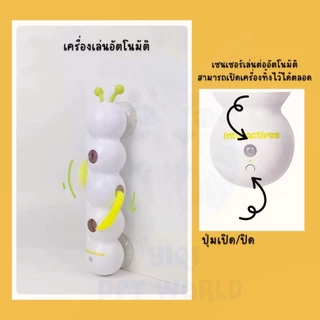 🔥(ส่งด่วน/ส่งไว) ของเล่นแมว รางหนอน ไล่จับพู่อัตโนมัติ (Y065)