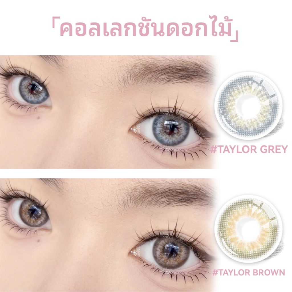 MIDROO [0.00-6.00] คอนแทคเลนส์ เลนส์สายฝอ DNA Tayor Lens  เลนส์ค่าสายตาสั้น รายเดือน-14.0mm
