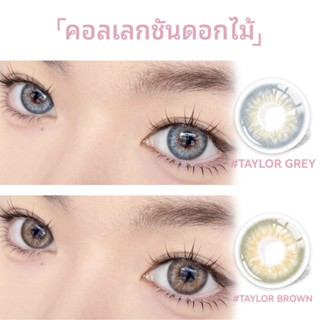 MIDROO [0.00-6.00] คอนแทคเลนส์ เลนส์สายฝอ DNA Tayor Lens  เล…