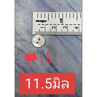 กระดุมเปลือกหอยสีขาวธรรมชาติ 1 ห่อ(500- 1,000 เม็ด)