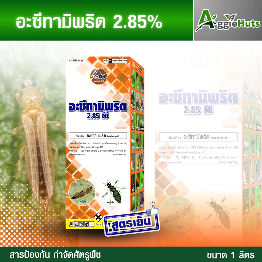 ยาฆ่าเพลี้ย อะซีทามิพริด 2.85 อีซี กำจัดเพลี้ยไฟ เพลี้ยหอย เพลี้ยแป้ง เพลี้ยดื้อยา กำจัดด้วง กำจัดแมลงปีกแข็ง