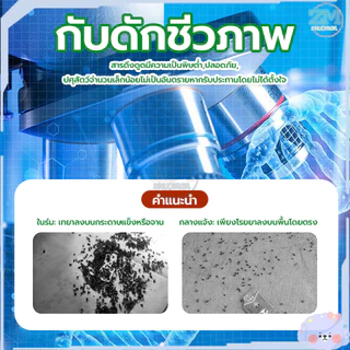 [ซื้อ 2ชิ้น ลด 20บาท] 24 กล่อง(600 ซอง) ดักแมลงวัน ผงไข่เน่า เหยื่อกำจัดแมลงวัน ฆ่าแมลงวันขั้นเทพ ตราไก่ ไล่แมลงวันออกไป