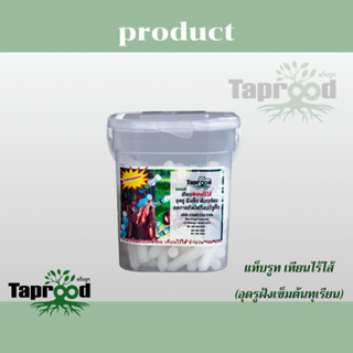 แท็บรูท เทียนไร้ไส้ (อุดรูฝังเข็มต้นทุเรียน)