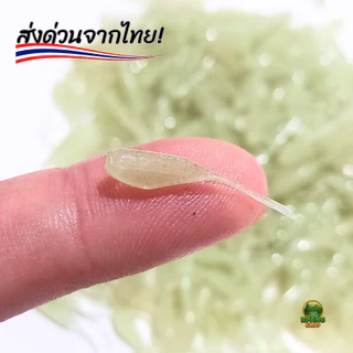 เหยื่อตกปลารุ่นลูกปลาน้อย งานอาจิ น้ำทะเล และน้ำจืดเหยื่ออ่อนนุ่ม ปลาชอบมากพลิ้วไหว สินค้ามีพร้อมส่งจากไทย