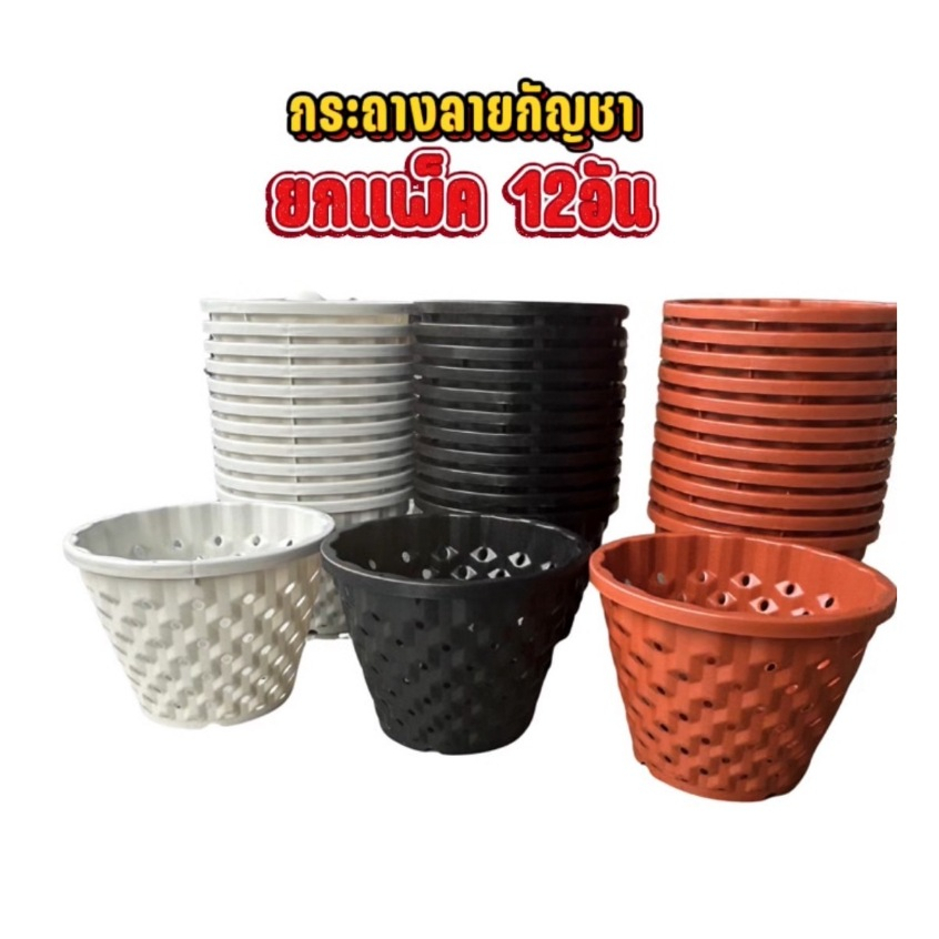 กระถางพลาสติกยกโหล 12ใบ ขนาด 9นิ้ว