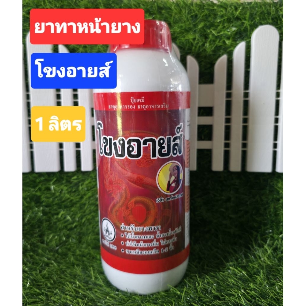 ยาทาหน้ายาง โขงอายส์ ฝาแดง 1 ลิตร สำหรับยางแก่ 18 ปีขึ้นไป   ได้น้ำยางเยอะ น้ำหนักดี   หน้ายางนิ่ม