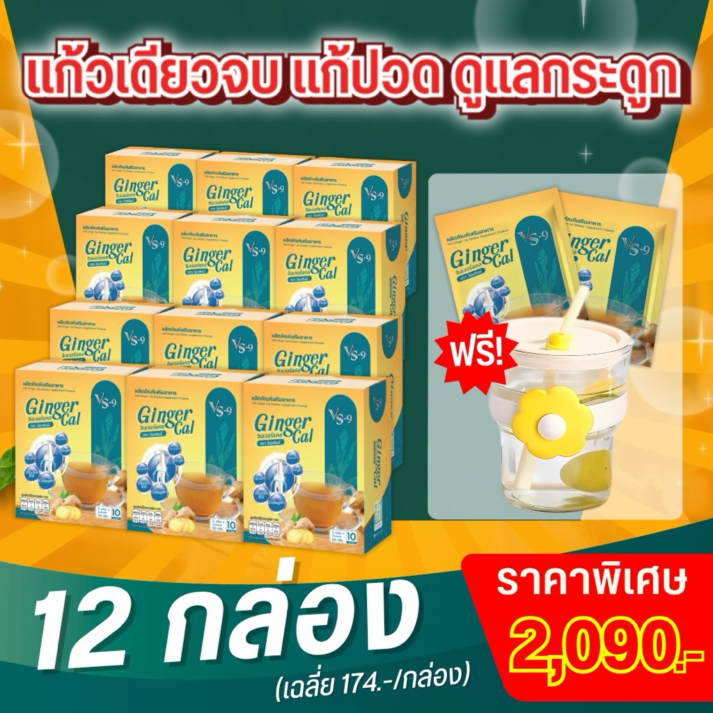VS9 GingerCal คอลลาเจนสูตรขิงและขมิ้นชัน 12 กล่อง แถม  แก้วดอกไม้