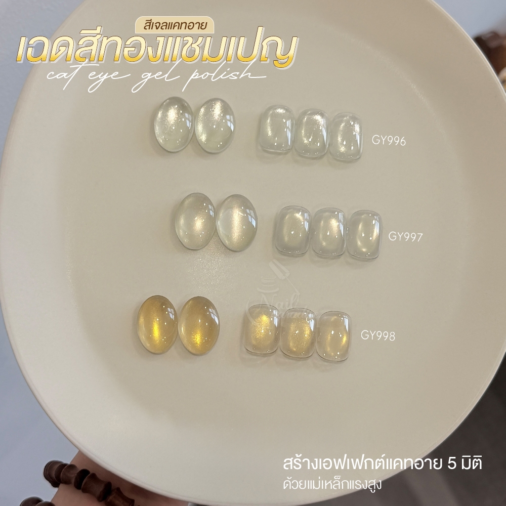 GAOY สีเจลแคทอาย Cat Eye 3 เฉดสีทองแชมเปญ กลิตเตอร์แน่น เงางามหรูหรา GY 996-998