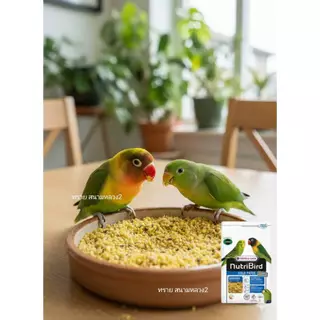 ขฟ.เลิฟ Versele-Laga อาหารไข่(Gold Patee) (แบ่งขาย 100-500 G.) อาหารนก อาหารเสริมนก