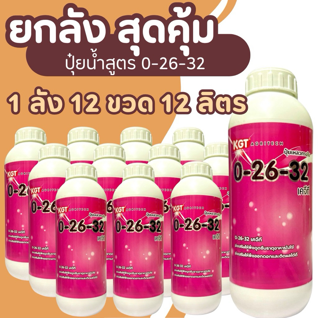 ยกลัง KGT ปุ๋ยน้ำ 0-26-32 สะสมอาหาร