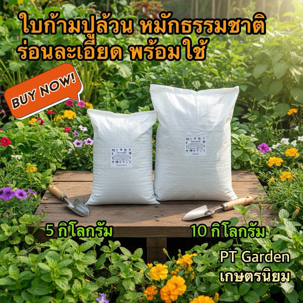 ใบก้ามปูหมัก ร่อนละเอียด ใบก้ามปูแท้ 10 กิโลกรัม