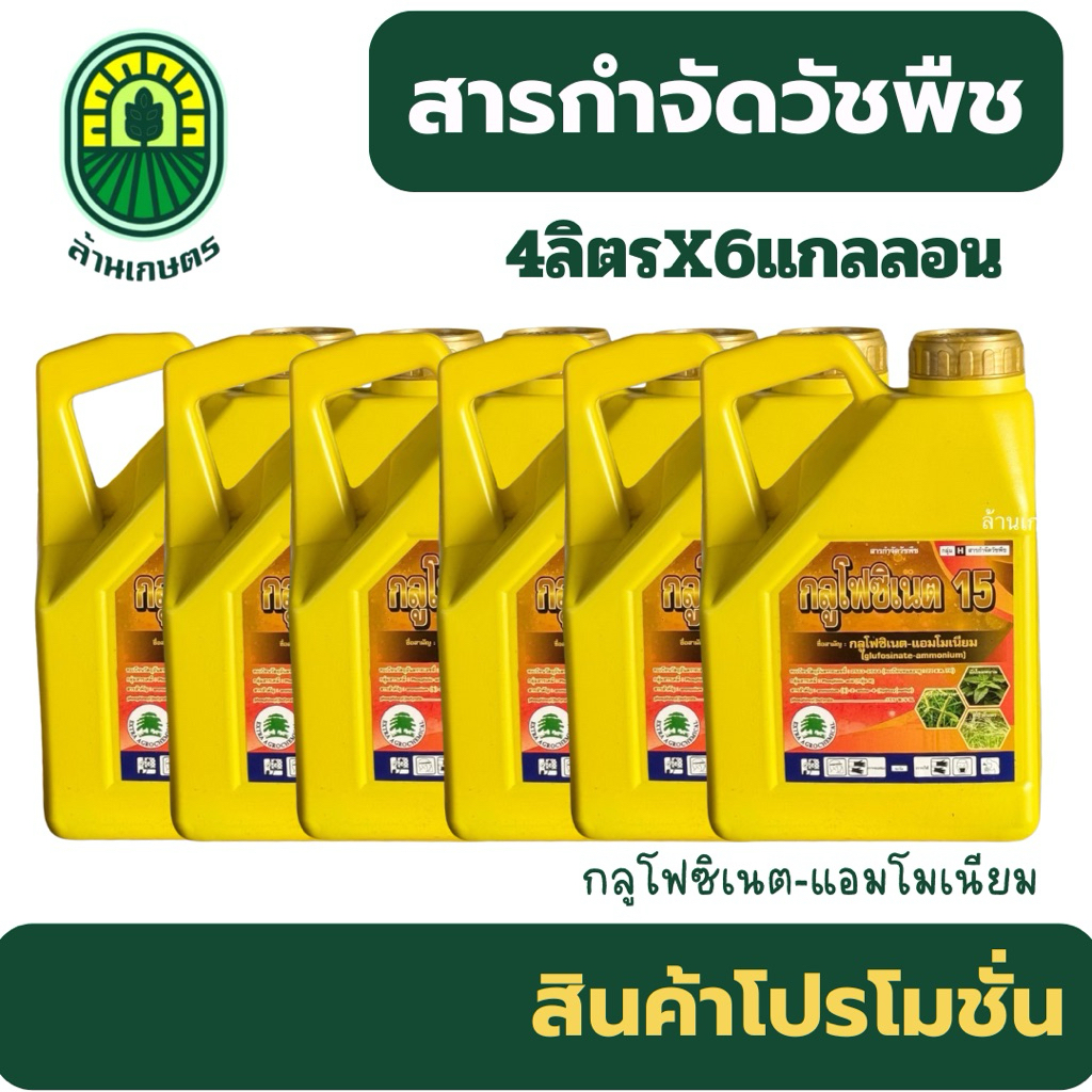 (ยกลัง6แกลลอน)กลูโฟซิเนตแอมโมเนียม ตราต้นไม้ แกลลอนเหลือง กำจัดหญ้าตีนกา หญ้าดอกขาว หญ้าแพรก ปลอดภัยต่อพืชประธาน