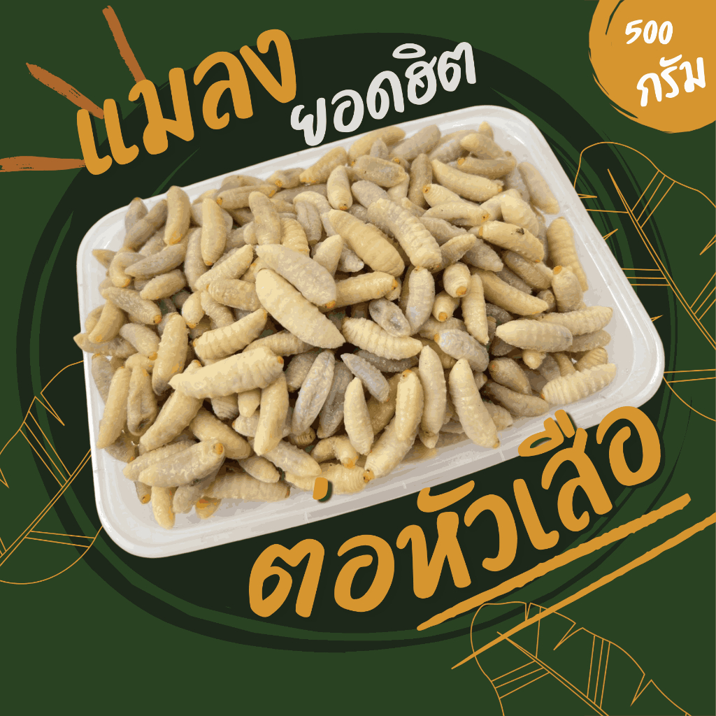 ตัวอ่อนต่อหัวเสือ (ส่งรถห้องเย็น) ค่าส่งเหมาๆ ฟรีซแข็ง สดใหม่ สะอาด ส่งตรงจากฟาร์ม