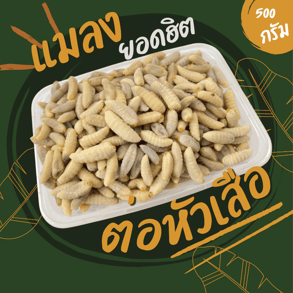 ตัวอ่อนต่อหัวเสือ (ส่งรถห้องเย็น) ค่าส่งเหมาๆ ฟรีซแข็ง สดใหม่ สะอาด ส่งตรงจากฟาร์ม