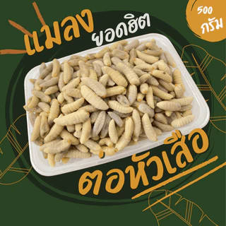ตัวอ่อนต่อหัวเสือ (ส่งรถห้องเย็น) ค่าส่งเหมาๆ ฟรีซแข็ง สดใหม่ สะอาด ส่งตรงจากฟาร์ม
