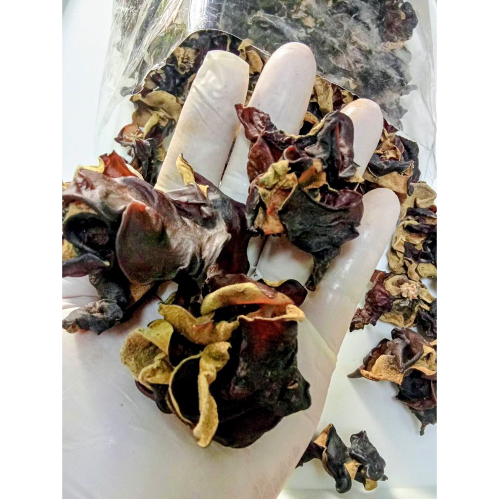 เห็ดหูหนูดำไทยตากแห้ง 🍄 คัดคุณภาพ เกรดพรีเมียม เนื้อหนา---