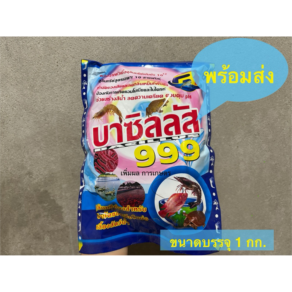 บาซิลลัส999  ขนาดบรรจุ 1 กก. จุลินทรีย์บำบัดของเสียในบ่อสำหรับสัตว์น้ำทุกชนิด