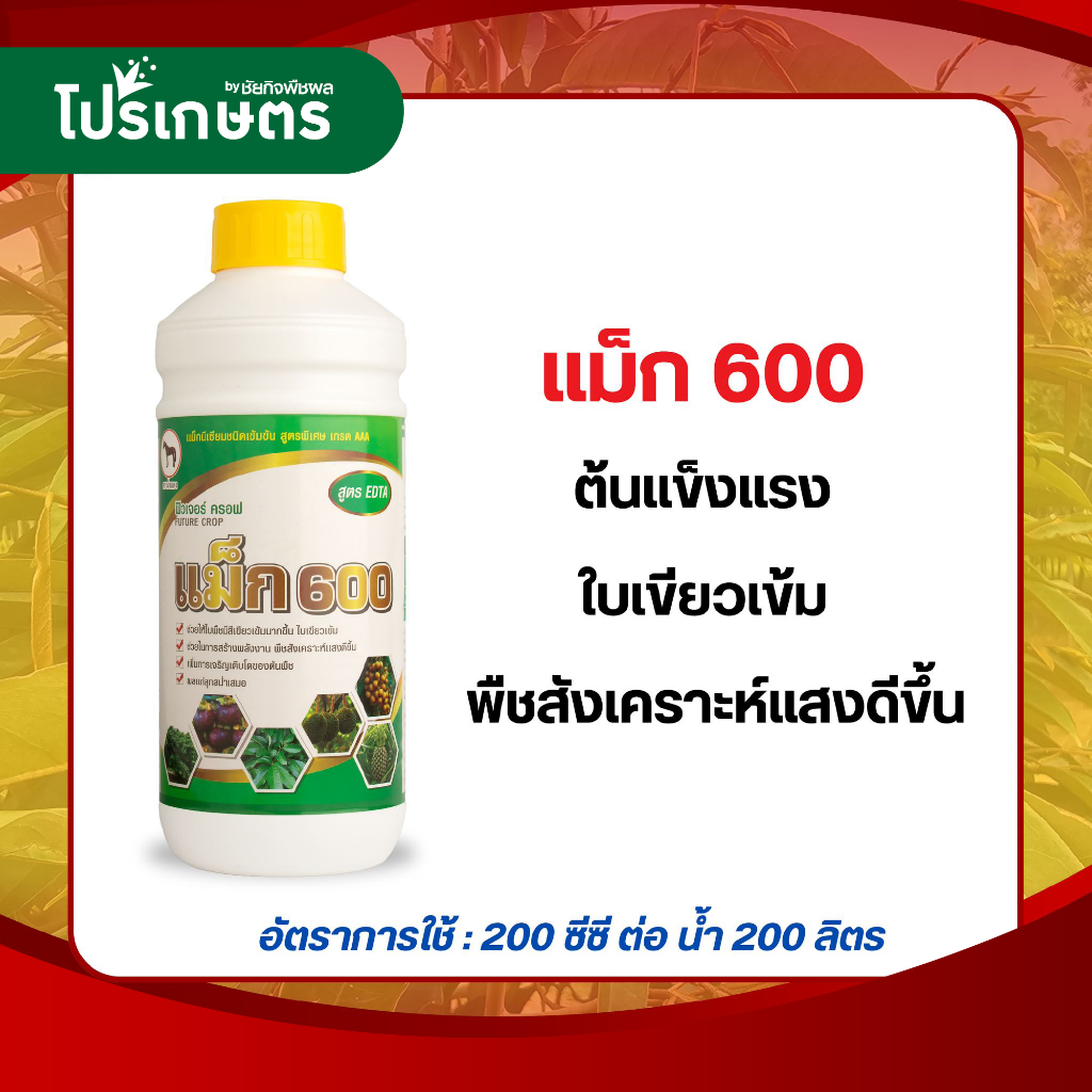 แม็ก 600 (แม็กนีเซียมชนิดเข้มข้น สูตรพิเศษ เกรด AAA)