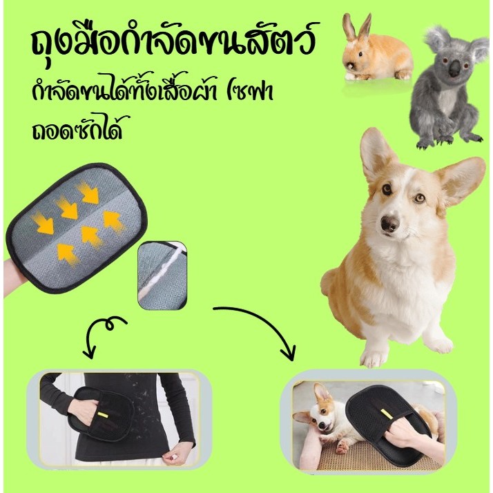 ถุงมือกําจัดขนสําหรับสัตว์เลี้ยง ขนแปรงสองทาง แปรงกําจัดขน