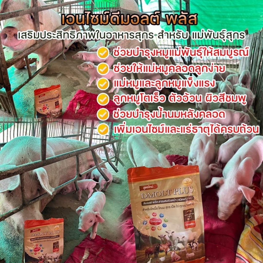 ดีมอลต์พลัส อาหารเสริมสุกร เป็ด ไก่ วัว (5 ถุง) - รูปที่ 3