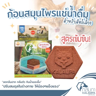 KALAMPA ก้อนสมุนไพรแช่น้ำดื่มสัตว์เลี้ยง กลัมภา สูตรเข้มข้นสำหรับน้องสุนัขตัวใหญ่