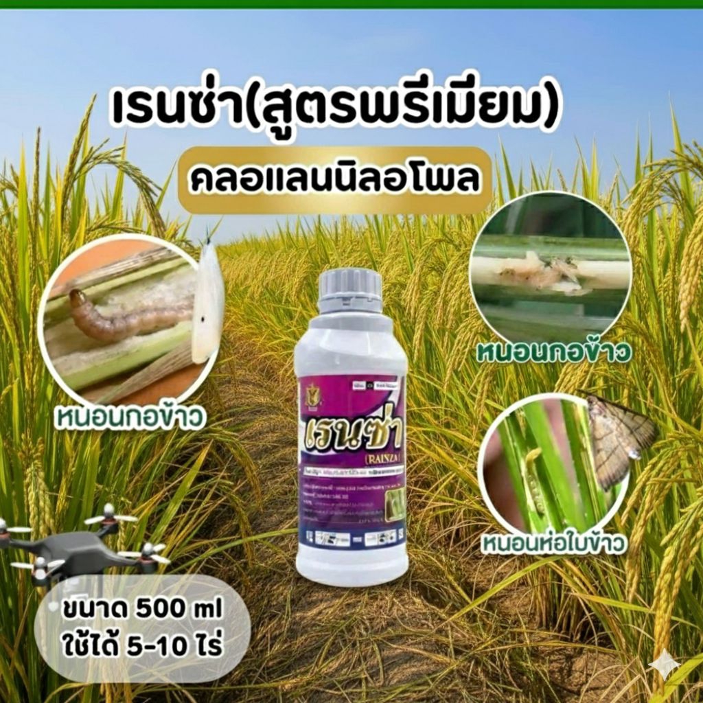 🌾เรนซ่า 500ซีซี ✨ (สารคลอแรนทรานิลิโพรล สูตรพรีเมียม!) กำจัดหนอนกอ หนอนเจาะคอรวง หนอนม้วนใบหนอนใบขาว