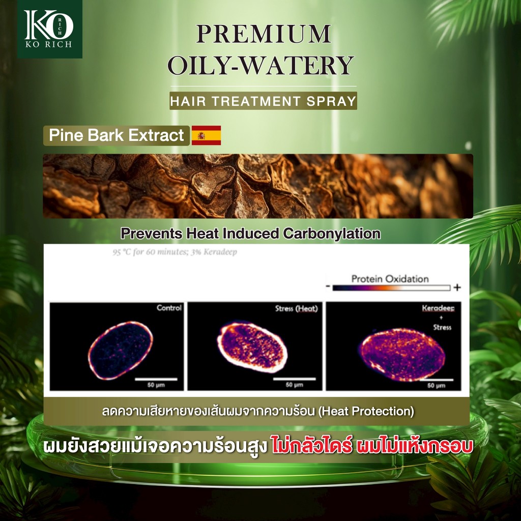 รูปภาพ 3