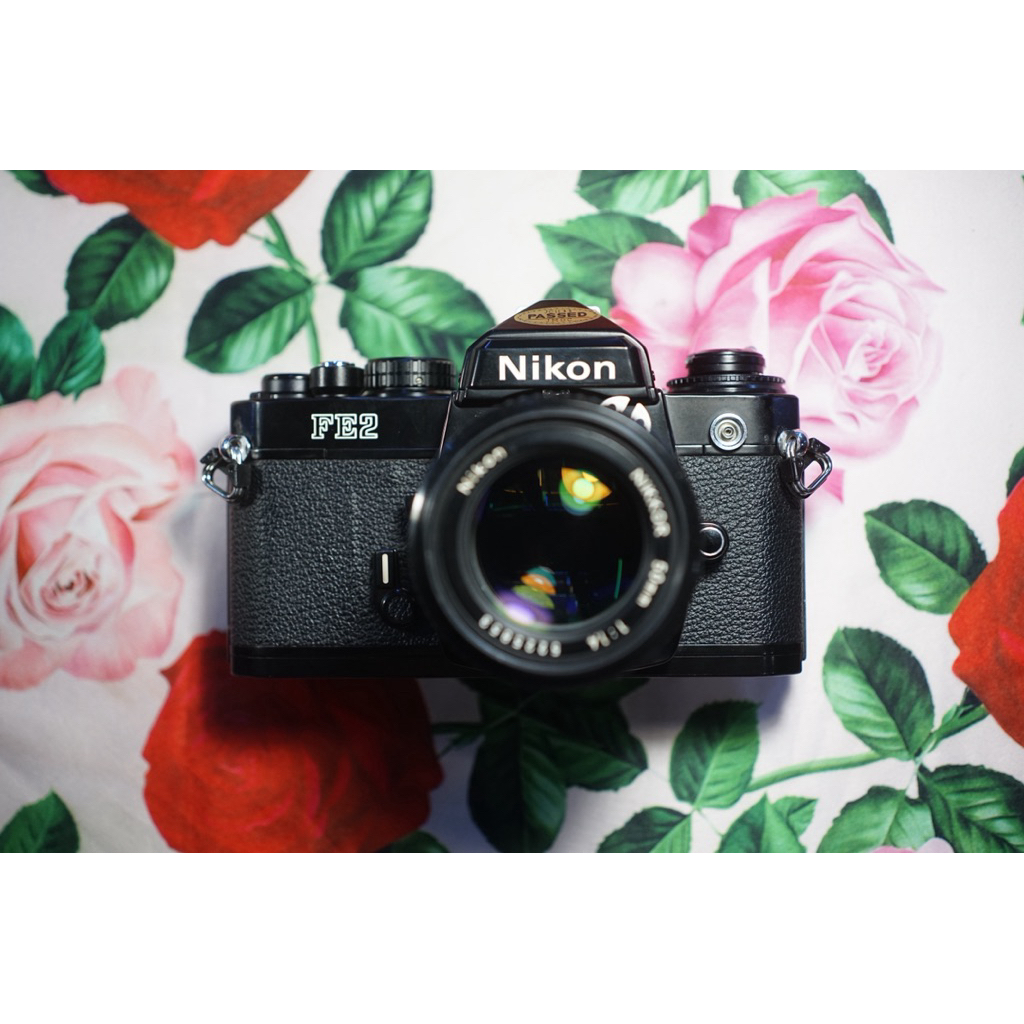 Nikon FE2 + 50mm 1.4 AIS