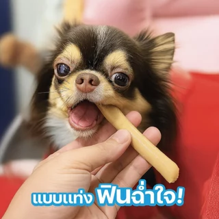 VFcore BAR BIO สูตร ปรับสมดุลลำไส้ จำนวน 1 กล่อง (20 ซอง)
