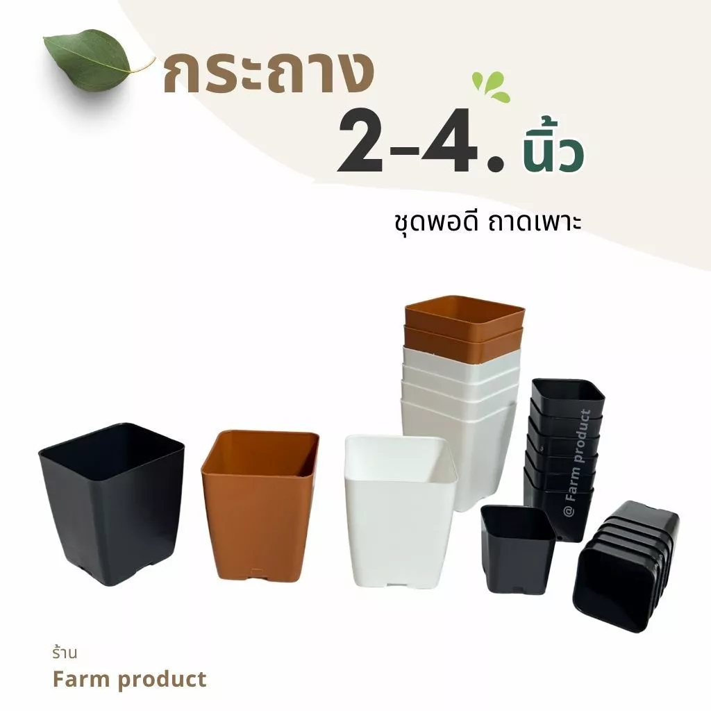 เเพ็ก กระถาง 4 นิ้ว กระถาง 2 นิ้ว กระถางสี่เหลี่ยม