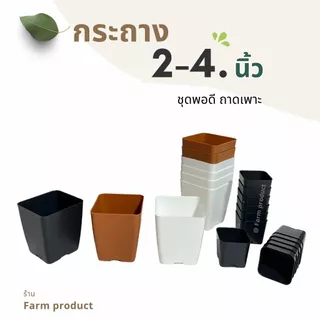 เเพ็ก กระถาง 4 นิ้ว กระถาง 2 นิ้ว กระถางสี่เหลี่ยม